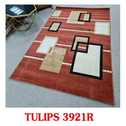 Thảm Salon TULIPS 3921 R Size 1.6x2.3m