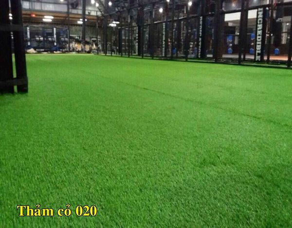 Thảm cỏ dày 20mm 020