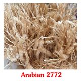  THẢM PHÒNG NGỦ MÀU VÀNG ARABIAN 2772 