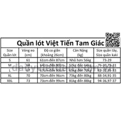 Quần lót Việt Tiến Tam Giác Brief màu Stone số 588