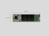  SSD Silicon Power M.2 2280 SATA A55 128GB - Hàng chính hãng 