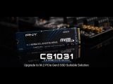  Ổ cứng PNY SSD CS1031 M.2 2280 PCIE NVME GEN 3X4 - Hàng Chính Hãng 