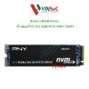 Ổ cứng PNY SSD CS1031 M.2 2280 PCIE NVME GEN 3X4 - Hàng Chính Hãng