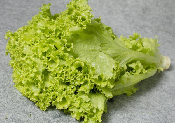  Xà lách lo lo xanh hữu cơ- Organic Loose-leaf Lettuce- 1kg 