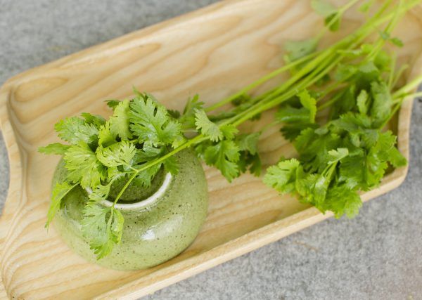  Ngò rí hữu cơ- Organic Cilantro- 100gr 