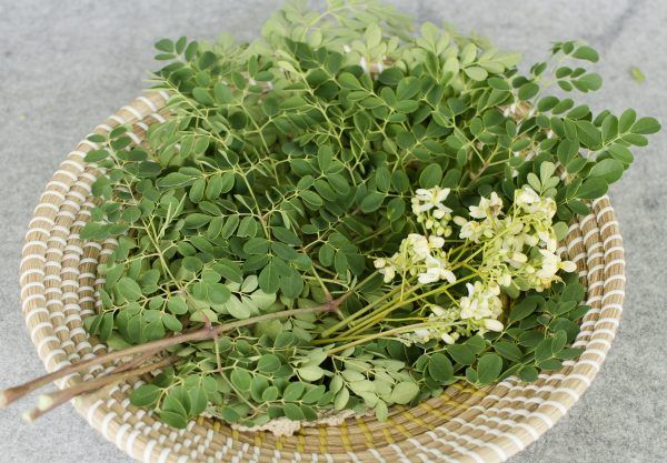 Rau Chùm ngây hữu cơ- Organic Horseradish tree- 1kg – Thực phẩm sạch 3F