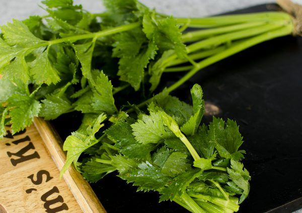  Cần tây hữu cơ- Organic Celery- 1kg 