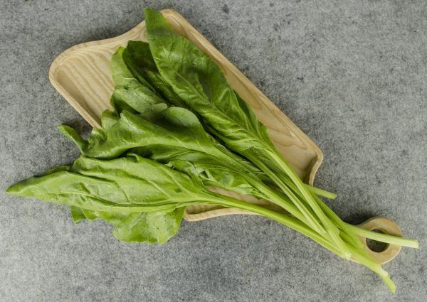  Cầu vồng trắng hữu cơ- Organic Chard with white stem- 1kg 