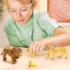 Gia đình Sư tử Terra