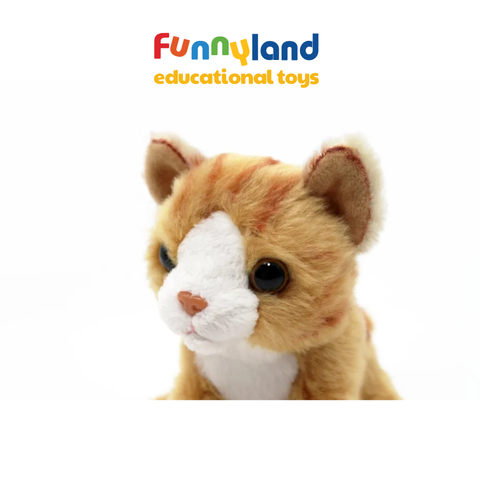 Đồ chơi thú nhồi bông Be My Orange Tabby Cat