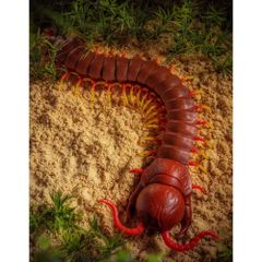 Đồ chơi Rết điều khiển từ xa R/C Centipede