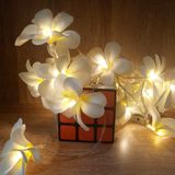 1,5m 10 đèn LED chạy bằng pin Màu trắng ấm Sáng tạo DIY Frangipani LED dây Đèn chiếu sáng kỳ nghỉ hoa Ánh sáng sự kiện Tiệc vòng hoa Trang trí phòng ngủ 
