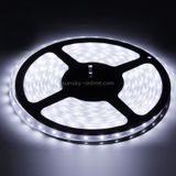  Vỏ chống thấm nước dây nhẹ, chiều dài: 5m, Ánh sáng trắng 6000-6500K 3528 SMD LED, 60 LED / m 