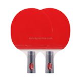  REGAIL 8020 2 trong 1 Tay cầm ngắn Penhold Ping Pong Vợt + Bộ bóng Ping Pong để luyện tập 