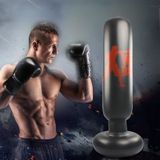  Túi đấm đấm bốc hơi thẳng đứng thể dục Cột đấm bốc Tumbler Túi đấm cột Catharsis, Chiều cao: 1,6m 