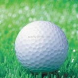  Bóng golf sân tập bằng cao su tổng hợp, Bóng golf đàn hồi trống hai lớp 