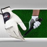  PGM Găng tay Golf nam chống trơn trượt da cừu tay phải, Size: 23 # 