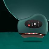  12 bánh răng Bian đá đỏ Bảng massage điện (Màu xanh lá cây) 