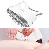  SM-2102 EMS Màu ánh sáng Meridian Nạo vét Massager (Bạc trắng) 