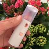  Dụng cụ làm ẩm da mặt L20 Máy tạo ẩm không khí USB Beauty Cold Spray Dụng cụ phun khử trùng cồn tự động (Màu hồng) 