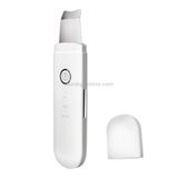  YJK063 Siêu âm ion Cleanser Micro-Hiện tại Massage Làm đẹp Nhạc cụ (Bạc) 