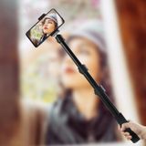  Máy ảnh chụp ảnh ngoài trời di động BEXIN P-264L Hợp kim nhôm Chân đèn cầm tay Monopod (Đen) 