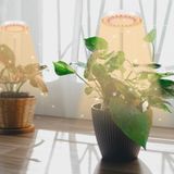  Đèn quang hợp 10W 48 đèn LED Vòng thiên thần Cây mọng nước Phát triển lấp đầy ánh sáng 