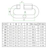  10mm 304 thép không gỉ kết nối nhanh Khoá đường băng 