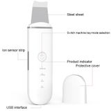  YJK063 Siêu âm ion Cleanser Micro-Hiện tại Massage Làm đẹp Nhạc cụ (Bạc) 