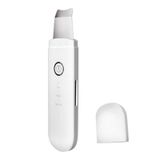  YJK063 Siêu âm ion Cleanser Micro-Hiện tại Massage Làm đẹp Nhạc cụ (Bạc) 