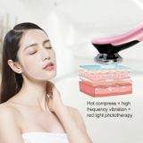  Dụng cụ làm đẹp da mặt BLK-D818 Dụng cụ trẻ hóa da màu nóng và lạnh EMS Micro Dụng cụ giới thiệu làm đẹp hiện tại (Trắng) 