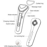  BLK-D020 Dụng cụ xuất nhập khẩu Ion Dụng cụ mát-xa làm đẹp da mặt Máy sưởi rung Dụng cụ chăm sóc da Ffacial 