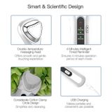  BLK-D020 Dụng cụ xuất nhập khẩu Ion Dụng cụ mát-xa làm đẹp da mặt Máy sưởi rung Dụng cụ chăm sóc da Ffacial 