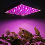  Đèn quang hợp 14W SMD 3528 Đèn LED phát triển ánh sáng đỏ + xanh dương, 225 LED Ánh sáng nhà kính Light Aquarium, AC 85-265V 