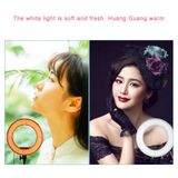  Chụp ảnh neo 12 inch Chụp ảnh hẹn giờ Đèn LED vòng chiếu sáng 