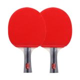  REGAIL 8020 2 trong 1 Tay cầm dài Vợt Ping Pong + Bộ bóng Ping Pong để luyện tập 