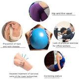  3 PCS Mini Yoga Pilates Ball chống nổ PVC Ball Balanced Fitness Fitness Practice Training with Straw, Diameter: 25cm (Blue) 