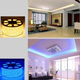  Đèn LED dây màu IC6803 RGB, Bộ điều khiển Magic RF 5050 SMD không thấm nước + Bộ chuyển đổi nguồn cắm EU + Bộ 2 cáp kết nối 