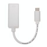  10 cm USB-C / Type-C 3.1 tới Cáp chuyển đổi màn hình, dành cho MacBook 12 inch, Chromebook Pixel 2015, Máy tính bảng Nokia N1 (Bạc) 