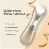  OFY9901 Chăm sóc da mặt EMS Mesotherapy Điện cực RF tần số sóng vô tuyến LED Photon Chăm sóc da mặt Căng da mặt Xóa nếp nhăn (Vàng) 