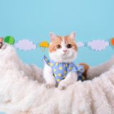  Sweet Summer dễ thương Pet Dress Pet Dot Fringe Skirt, Size: L (Blue) 