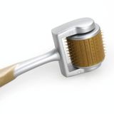  2 PCS ZGTS192 Hợp kim Titanium Microneedle Dụng cụ lăn sửa chữa mặt Nano, Đặc điểm kỹ thuật: 0.2MM 