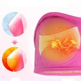  Máy mát xa vú bằng điện nâng ngực, Đặc điểm kỹ thuật: CD lớn, Kiểu: Massage USB 