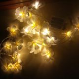  1,5m 10 đèn LED chạy bằng pin Màu trắng ấm Sáng tạo DIY Frangipani LED dây Đèn chiếu sáng kỳ nghỉ hoa Ánh sáng sự kiện Tiệc vòng hoa Trang trí phòng ngủ 