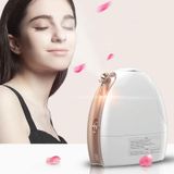  Xịt nóng và lạnh Thiết bị Hấp mặt Trái cây và Rau quả Phun Nano Nước Trang bị Dụng cụ Làm đẹp Dụng cụ làm đẹp, Phích cắm CN (Vàng hồng) 