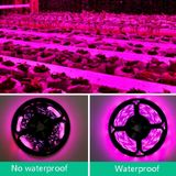  Đèn quang hợp 1M Chống nước LED dải ánh sáng Trồng lấp đầy ánh sáng đầy đủ quang phổ USB Cảm ứng mờ Đèn thực vật 
