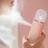  Kem dưỡng ẩm cho thú cưng dễ thương USB Mini cầm tay Máy phun độ ẩm, Màu sắc: DQ-602 (Khủng long xanh) 