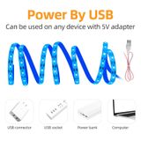  Đèn quang hợp 2 chiếc 1M Chống nước LED Cây tăng trưởng Light Dải USB Cây lấp đầy 