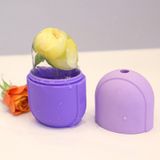  Massage Ice Khay Túi Mắt Arms And Thighs Ice Pack Khay đá, Phân loại màu: Capsule Purple 