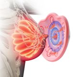  Sạc điều khiển từ xa không dây và sưởi ấm thiết bị nâng ngực rung ngực mát xa (tiếng Anh) 